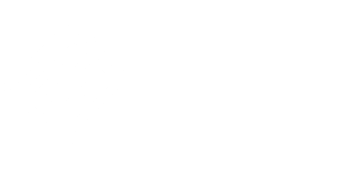 Partner 4