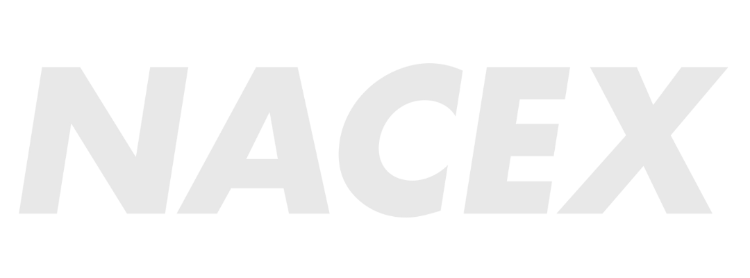 Company 6